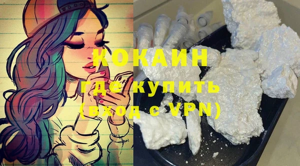 дурь Бронницы