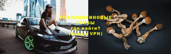MESCALINE Бородино