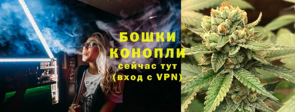 дурь Бронницы