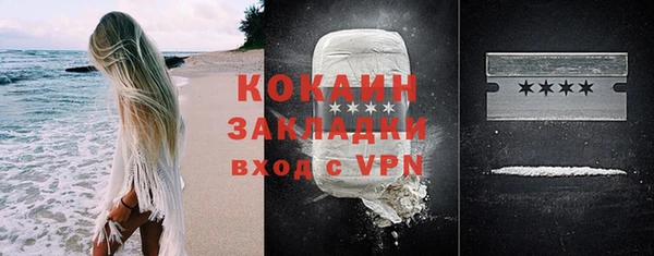 дурь Бронницы